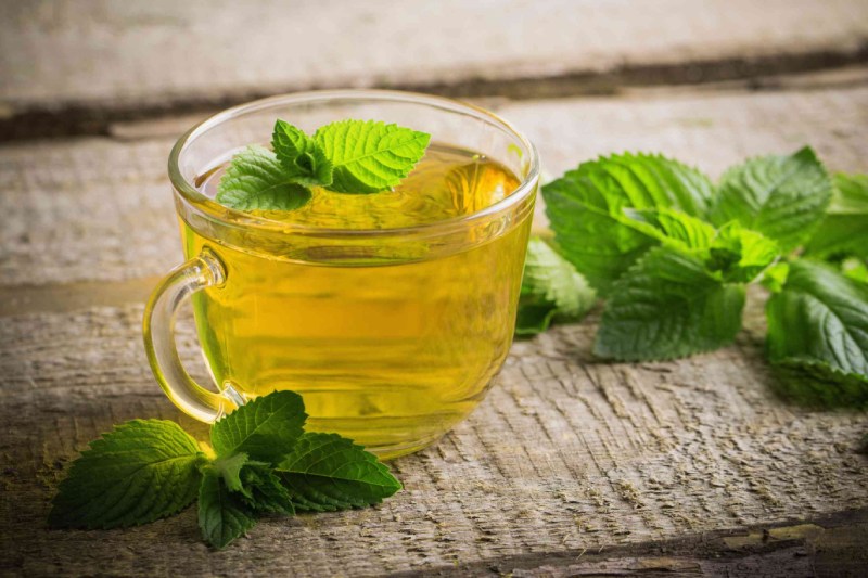 نحوه مصرف بادرنجبویه