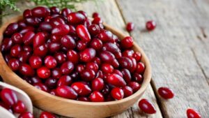 زغال اخته چه فوایدی برای بدن دارد؟ بررسی علمی خواص زغال اخته